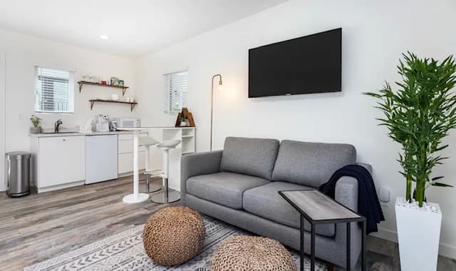 Living area of a converted garage with a gray sofa, a wall-mounted TV, a kitchenette and breakfast bar behind, open shelving, a tall plant, and a jute rug on wood-look flooring.